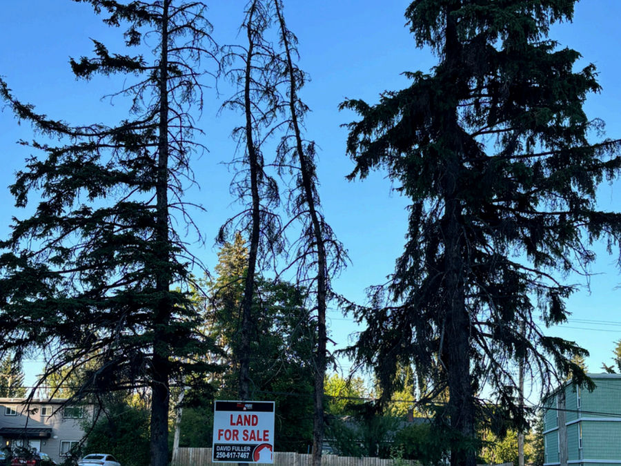 2 Lots Queensway