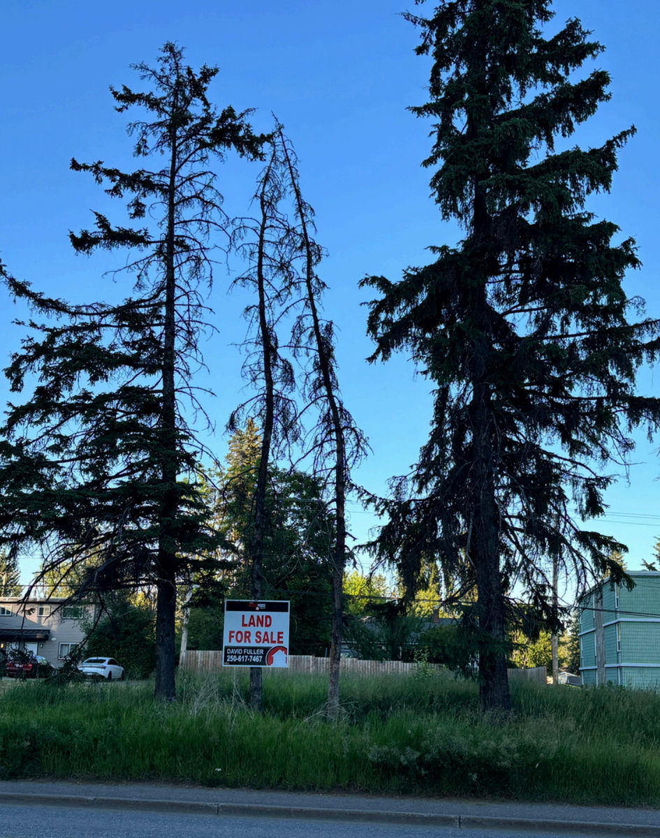 2 Queensway Lots